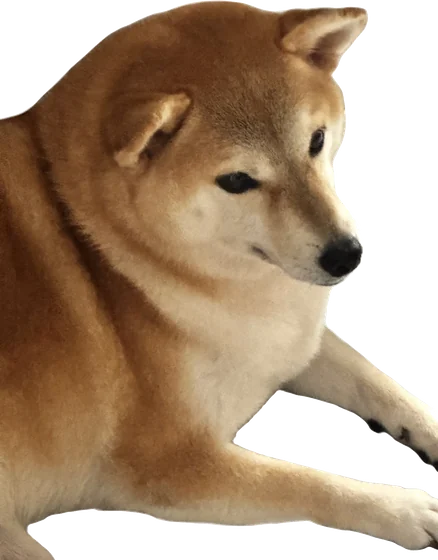 shiba
